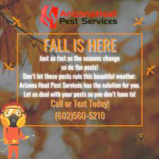 Call or text arizona heat today for fast and effective bed bug treatment in phoenix, tucson, and northern az. Arizona Heat Pest Services Home Facebook