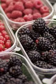 Les Framboises Les Mures Les Groseilles Aliments Riches En Fibres Alimentation Fibres