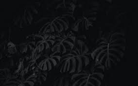 ❤ get the best full black wallpaper on wallpaperset. Black Wallpapers 4k Ultra Hd 16 10 Desktop Backgrounds Hd Pictures And Images