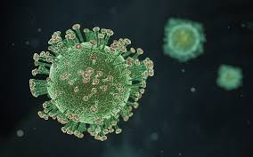 This service is coordinated by our international patient centre. Getting Tested Regularly For Covid 19 Ucl News Ucl University College London