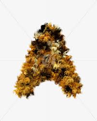 Stylish 3d texts and logos. Free Fonts Edwardian Script Itc Bold Download Free And Premium Fonts