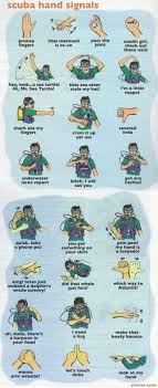 Scuba Hand Signals Scuba Diving Quotes Scuba Scuba Diving
