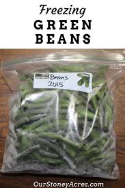 The purpose of the flash freeze is to freeze them just long enough that the moisture becomes solid and the beans won't stick together as i package them. Freezing Green Beans Frozen Green Beans Green Beans Beans