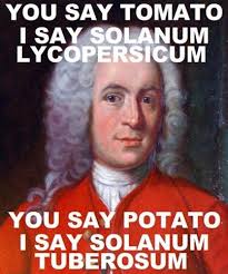 Stand Back I M Going To Try Science Meme Carolus Linnaeus Stand Back I M Going To Try Science Science Classroom Science Jokes Biology Classroom
