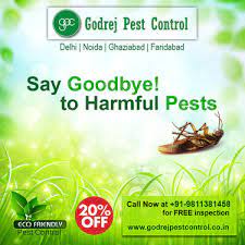All of our administrations are furnished with principal care to family units and the environs. Expert Of Termite Treatment Godrej Pest Control Ghaziabad Pest Control Service In Indirapuram Ghaziabad Click In
