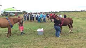 In scotland men still do wear skirts, they are called kilts. 10 Awesome Farm Ranch Gender Reveal Ideas Agdaily