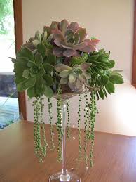 Succulent Home Decor And Centerpieces Succulent Garden Indoor Garden Centerpiece Succulent Centerpieces