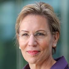 David Geerts's Instagram, Twitter & Facebook