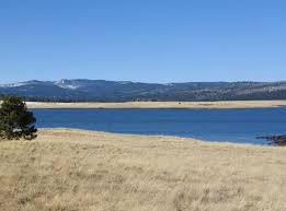 This link is to the big lake visitor center but they cover the entire area. Lakes Pinetop Lakeside Az