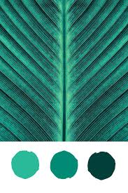 Tropical Plant Green Color Palette Inspiration For Summer By Ashley Furniture Ashleyfurniture Green Colour Palette Christmas Color Palette Color Palette