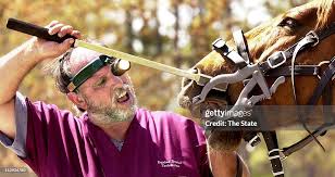 Carl Stuckey, an equine dental technician, maneuvers a manual float... News  Photo