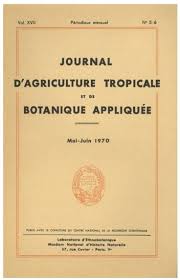 Image result for Eriosema tisserantii