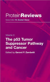 What does dna stand for? Pdf The P53 Network