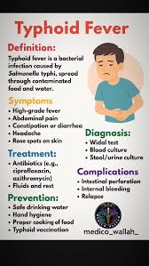 Image result for Typhoid Fever