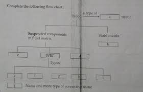 answer this complete the following flow chart blob