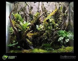 Http Greendeep Com Cn Admins Uploadfiles 2014012011390589195 Jpg Vivarium Beautiful Terrariums Aquascape
