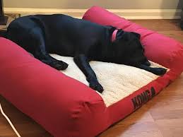 First, it should be a place where your pooch can sleep another option from kong is their lounger heavy dutypillow bed*. Kong Durable Lounger Dog Bed Dog Pillow Beds Petsmart