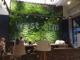 Ivy Wall With Signage Green Wall Design Ivy Wall Living Green Walls