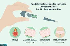 Discharge can also become abnormal if you have an infection. Can You Have Fertile Cervical Mucus But Not Ovulate