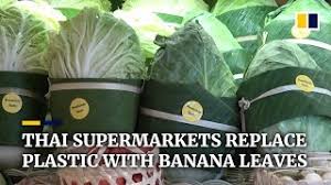 Banana leaves for food packaging ! Supermarkets In Thailand Ditch Plastic Packaging For Banana Leaves Youtube