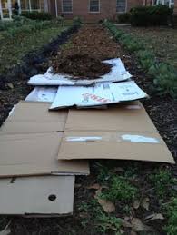 An added bonus is you can add a timer so you never forget to water. How To Mulch A Garden With Cardboard Garden Lawn And Garden Mulch