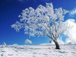 Latest wallpapers, hd images, hd backgrounds. New Beautiful Wallpapers Wallpaper Cave