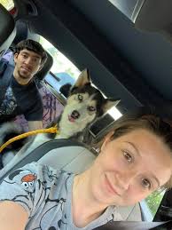 Thought I saw this morning someone was missing a husky ?