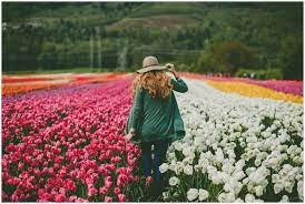 Rachelbarkman Com Adventure Inspiration Tulip Festival Spring Photography