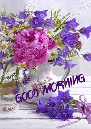 As you go about your day, no matter what happens today or comes your way, always remember that i care and love you so much. Good Morning Greetings Good Morning Flowers Quotes Good Morning Flowers Good Morning Beautiful Images