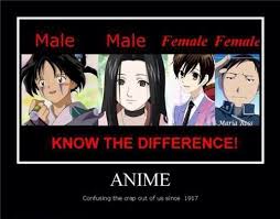 Anime Memes Anime Amino