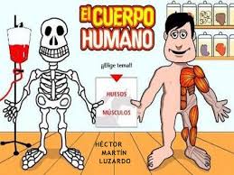 Imagenes del cuerpo humano animado. Calameo Revista Cuerpo Humano