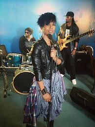 Image result for Erica wildii