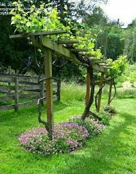 Foodie Travel 818740407245748525 Grape Vine Trellis Grape Vine Trellis Idea Modern Design In 2020 Grape Vine Trellis Grape Trellis Trellis Plants