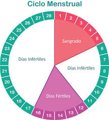 Tabela De Ciclo Menstrual Saude Vida Total