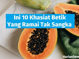 Juli 31, 2017juli 31, 20170 views. Khasiat Bawang Putih Tunggal Archives Harian Semasa