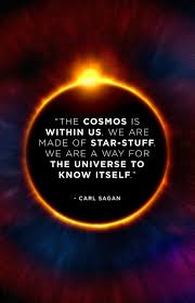 Image result for carl sagan