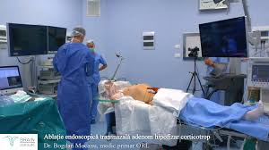 We did not find results for: Operatie Pe Creier Facuta De Medici Romani La Brain Institute Din Capitala Filmata Si Postata Pe Facebook Video Stirileprotv Ro