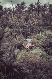 Young Tourist Woman Swinging On The Cliff In The Jungle Rainforest Of Bali Crystal Dive Award Winning 5 Star Scuba Di Palm Tree Pictures Beautiful Fiji Photo