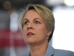 She is fond of bushwalking and jane austen. Labor S Plibersek Urges Innovation Rethink The Armidale Express Armidale Nsw