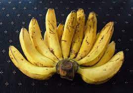 Maybe you would like to learn more about one of these? Lendah Dua Puluh Jenis Pisang Konsumsi Dan Bernilai Ekonomi