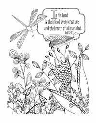 Choose contactless pickup or delivery today. Pin On Amazon