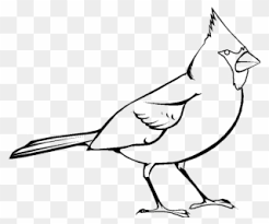 To search on pikpng now. Cartoon Bird Coloring Pages Coloring Pages Clipart Full Size Clipart 1222488 Pinclipart