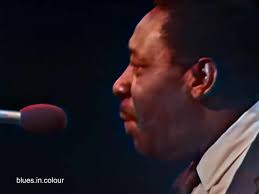Otis Spann & Muddy Waters Live Performance 1968