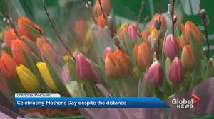 Now you know when canada celebrates mother's day. Mother S Day Traditions Upended By Coronavirus Physical Distancing Rules National Globalnews Ca