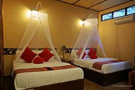 Pasangan yang terpaut usia 4 tahun ini akhirnya pergi honeymoon ke bali. Ombak Dive Resort Penginapan Terbaik Di Pulau Perhentian Kecil Lovely Bee