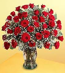 The cylinders bores were attached to the outer case at the 12, 3, 6 and 9 o'clock positions) for greater rigidity around the head gasket. Rodriguez Wholesale Flowers 3 Dozen Roses Mcallen Tx 78501 Ftd Florist Flower And Gift Delivery