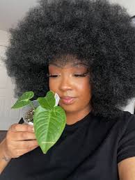 House Plant Lovers Addicts 🌲🌿