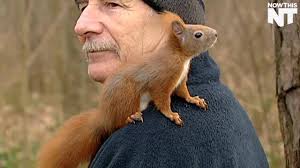 Scrappy The Squirrel