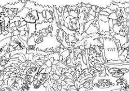 Vector coloring page child coloring book pages colouring book farm tractors kids coloring tractor painting pig landscape colouring book pages farm colouring pages kids coloring book. Amazon Rainforest Coloring Pages Coloring4free Com
