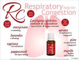 Peppermint (mentha piperita) has a strong, clean, fresh, minty aroma. Review Rc Oil Young Living By Zarah Zarahgy S Blog